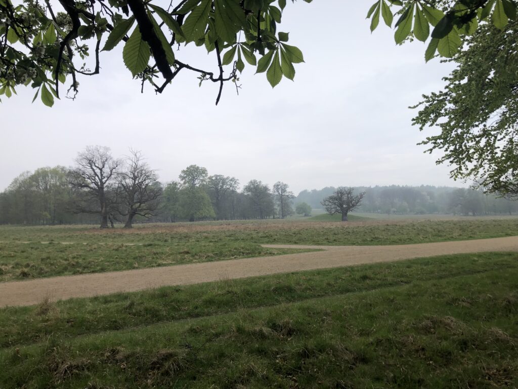 img 1877
